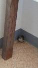 img1